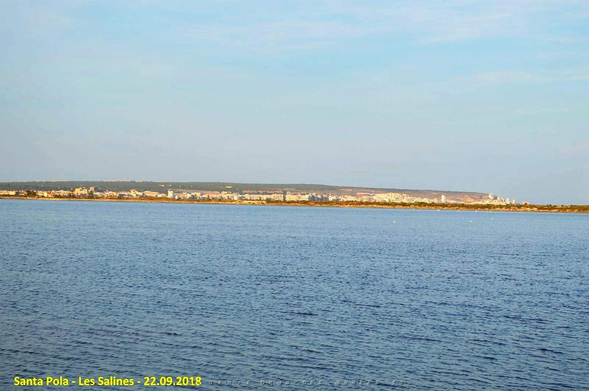 33 SANTA POLA LES SALINES (33).JPG